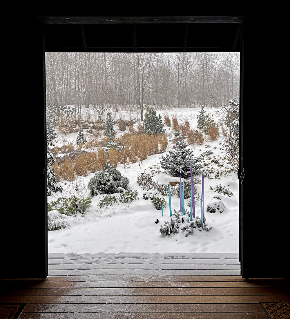 view of meadow garden covered in snow