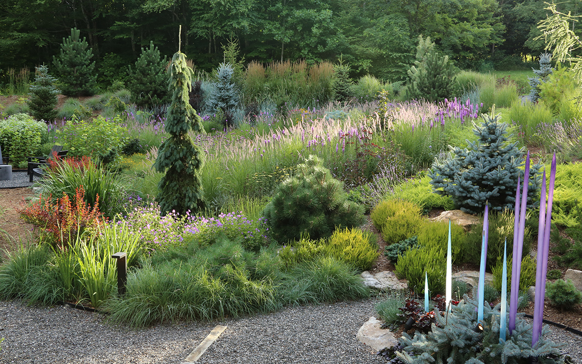 meadow garden at its peak in summer
