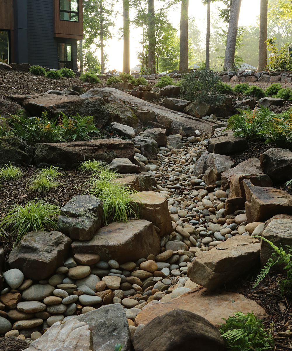 close up of dry streambed with ferns and small grasses planted around