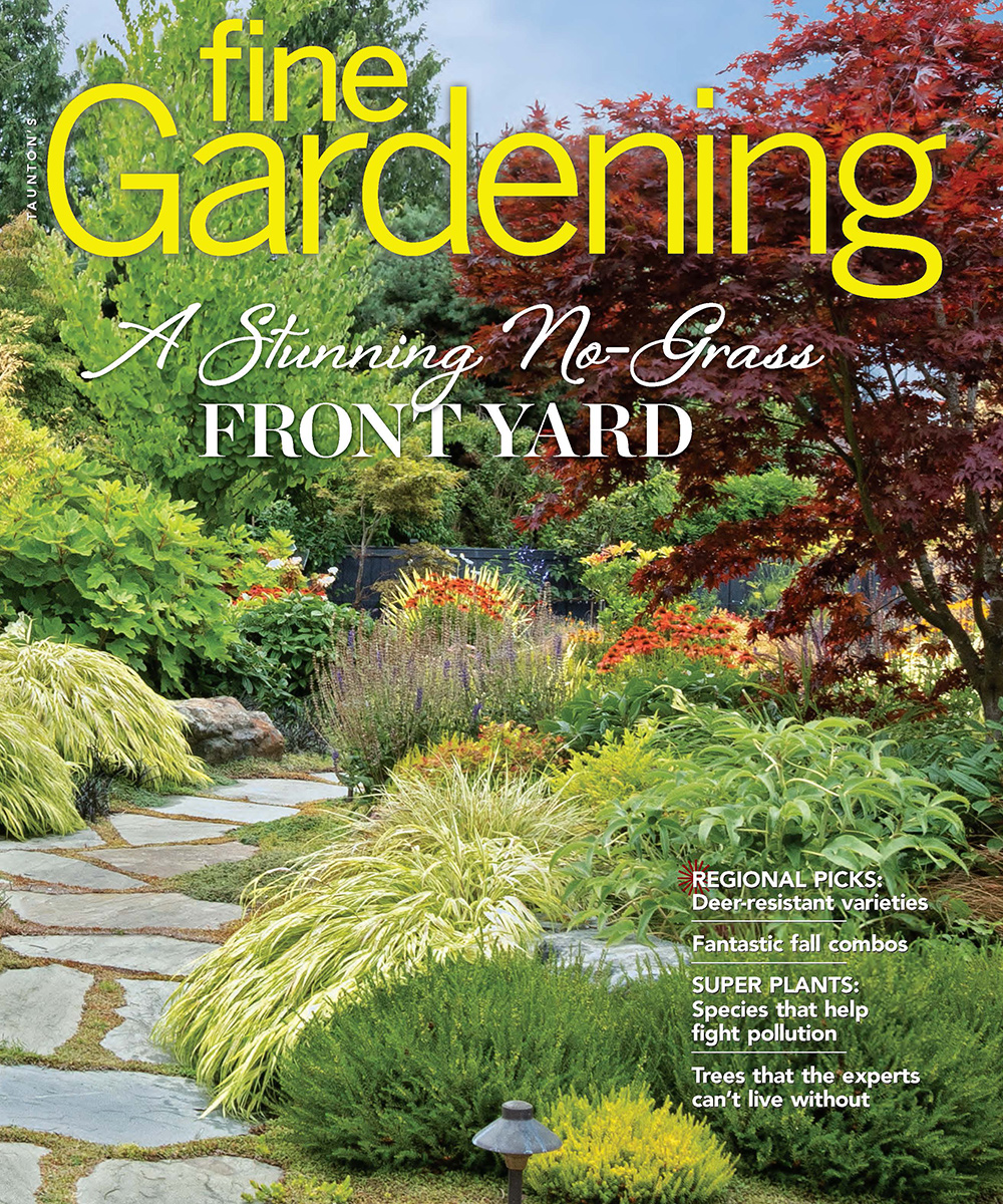 Front cover of Fine Gardening December 2023 issue