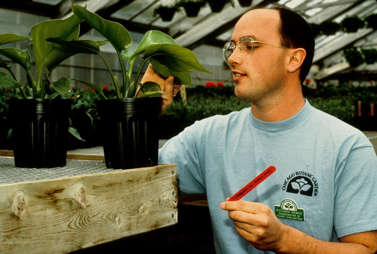 Richard Hawke at Chicago Botanic Garden in the 80s