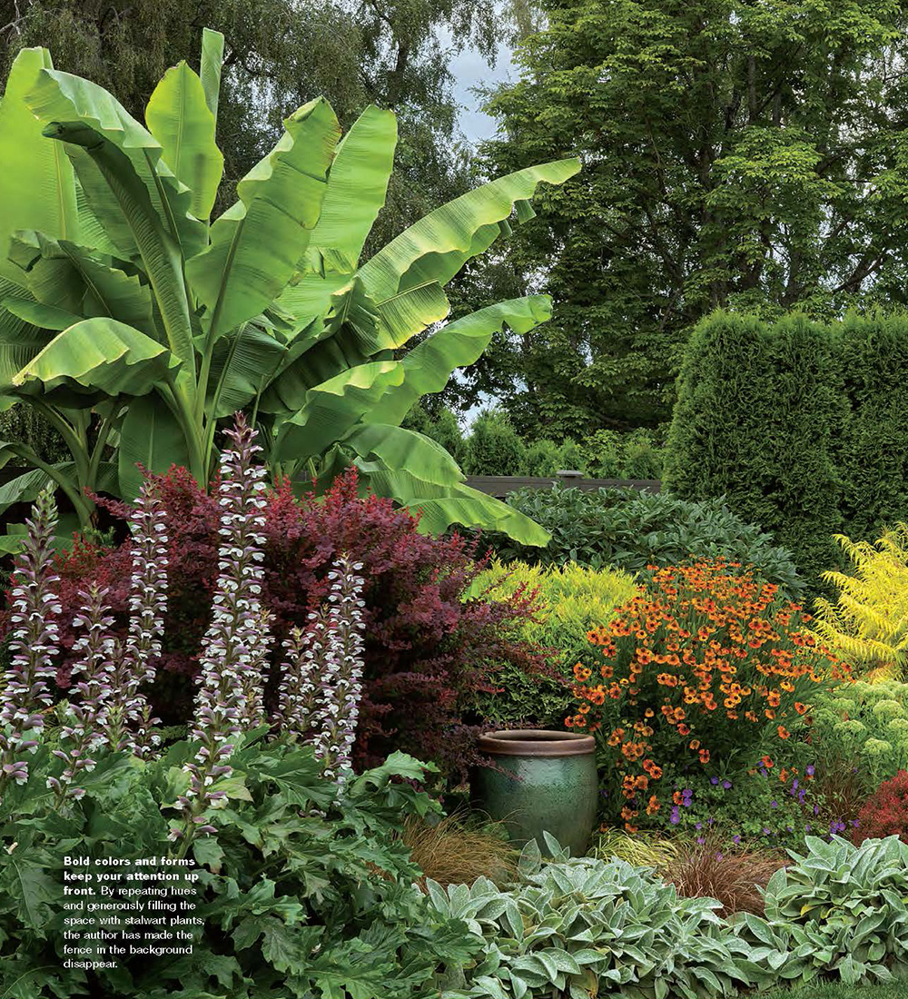 close up of plant combination in garden designer's home garden