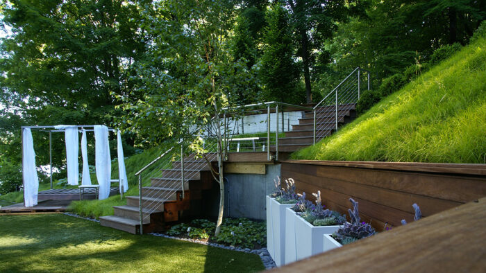plants for steep slopes