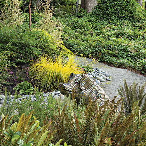 deer proof garden dry shade