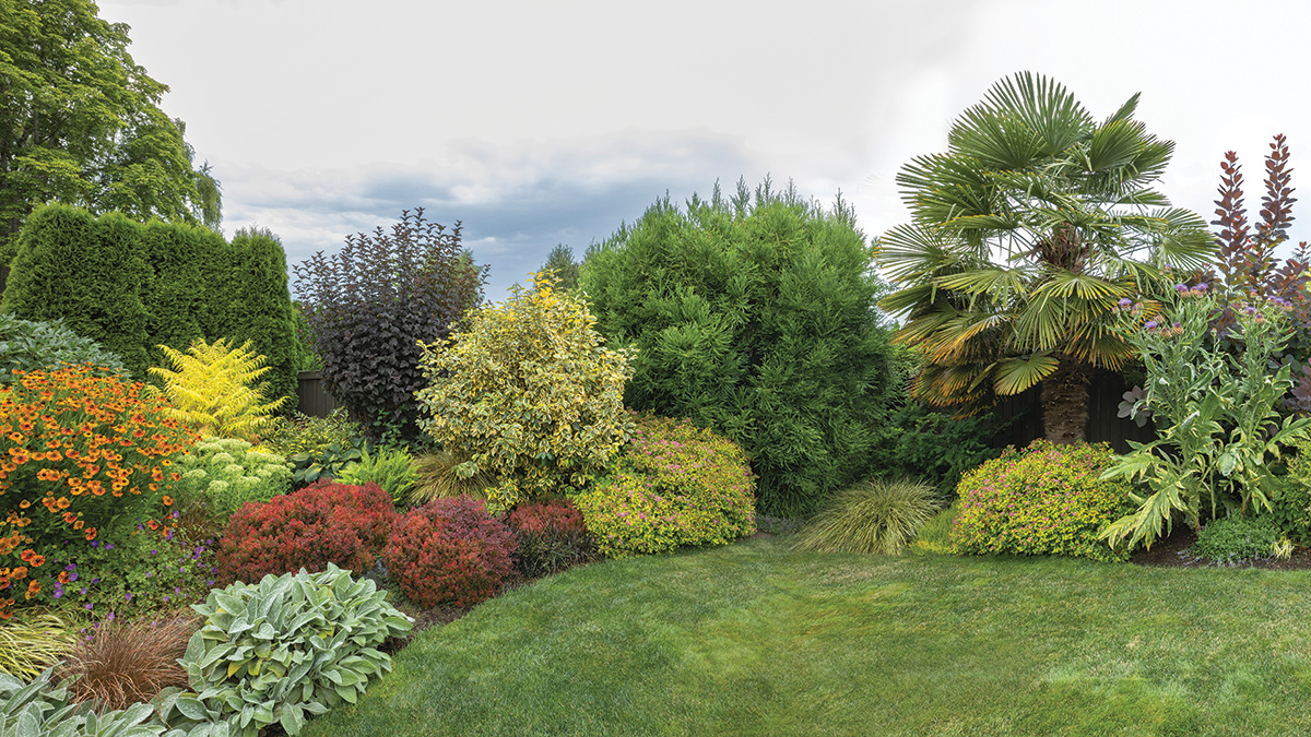 backyard fence completely hidden by long garden border