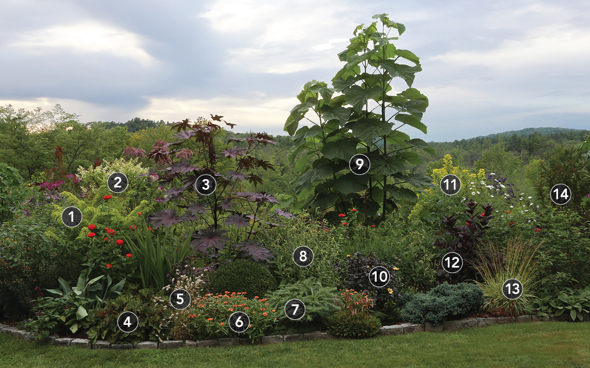 mature garden planting plan