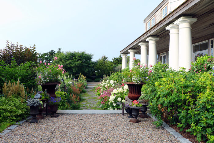 beautiful and tough garden Nantucket