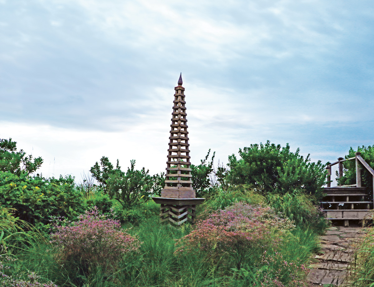 Sea lavender pairs with native grasses such as purple lovegrass and American beachgrass