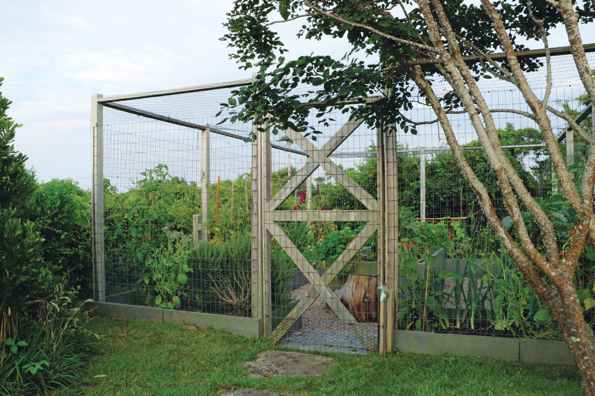veggie garden protected from pests on all sides
