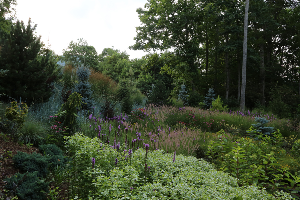 Another angle of Jay Sifford’s sloped front yard.