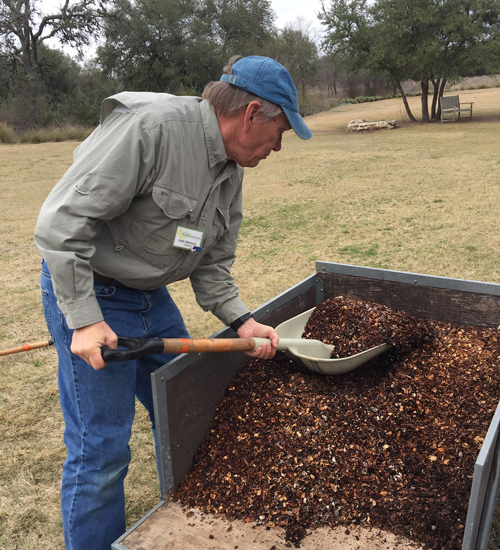 shoveling mulching from a wheelbarrow