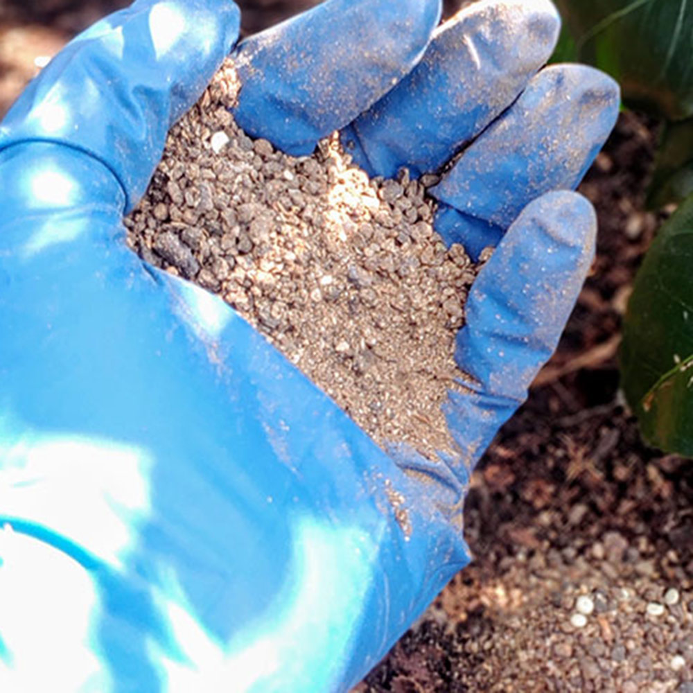 handful of granulated fertilizer